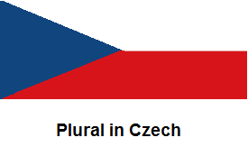 Plural in Czech