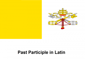 Past Participle in Latin