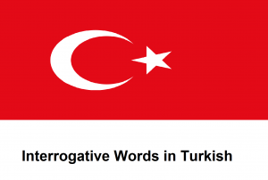 Interrogative Words in Turkish