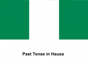 Past Tense in Hausa