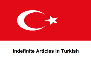 Indefinite Articles in Turkish